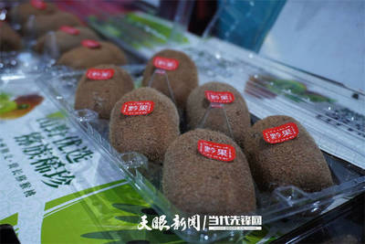 2021修文獼猴桃預(yù)售啟動(dòng)|貴州獼猴桃為什么那么好吃?