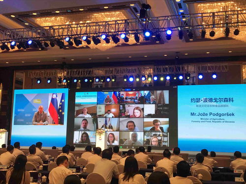 海關(guān)總署 中國對中東歐國家進出口貿(mào)易持續(xù)穩(wěn)定增長