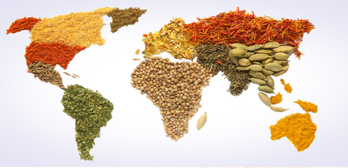 愛普股份2023年業績分析 營收近28億元，食品配料業務貢獻超七成收入